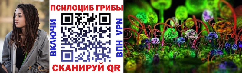Купить где Старая Купавна Псилоцибиновые грибы Psilocybe
